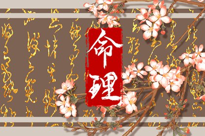 2026万年历日历 中国万年历黄历 日梭万年历